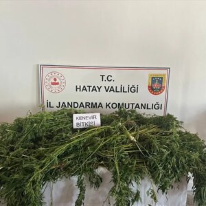 uyusturucu operasyonu 5 zanli yakalandi N57UrjK9