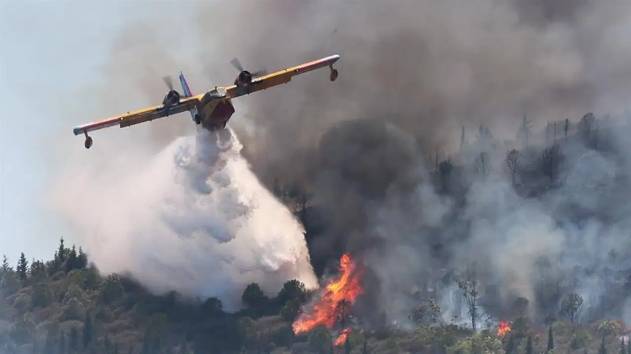 greenpeaceten hukumete tesvik elestirisi o rakamlarla 650 yangin sondurme ucagi alinabilirdi LYGFynA7
