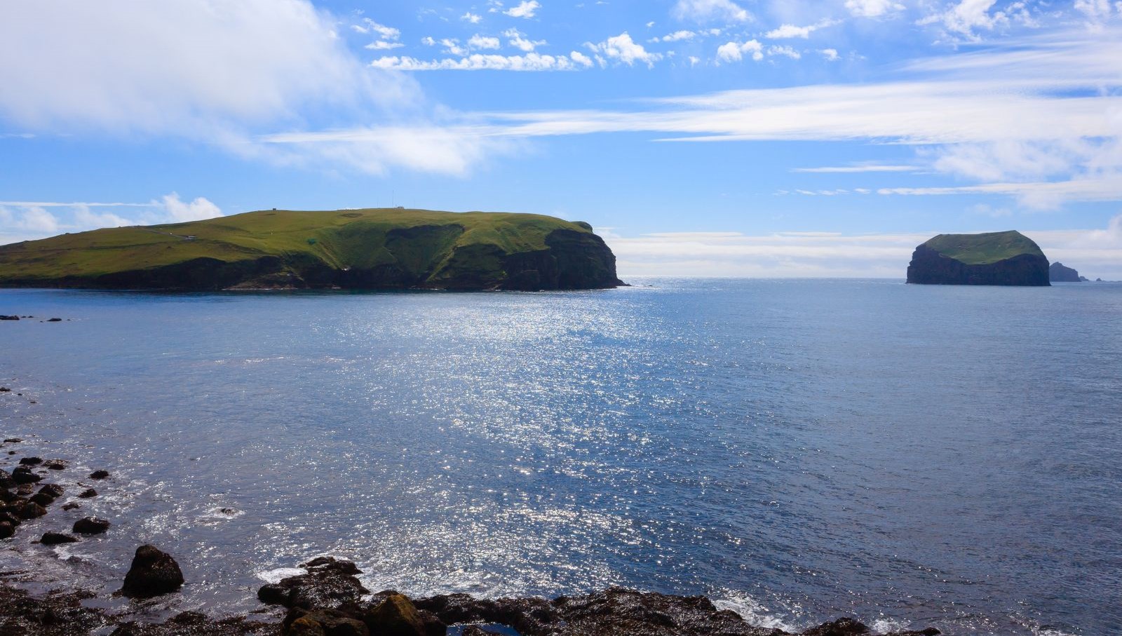 60 yil once dogan ada tabiatin kendini nasil onardiginin kaniti oldu 5VNCpAEw.jpg