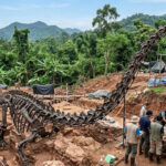 150 milyon yillik dev kesif yeni dinozor turu bulundu S8ZqBdk4